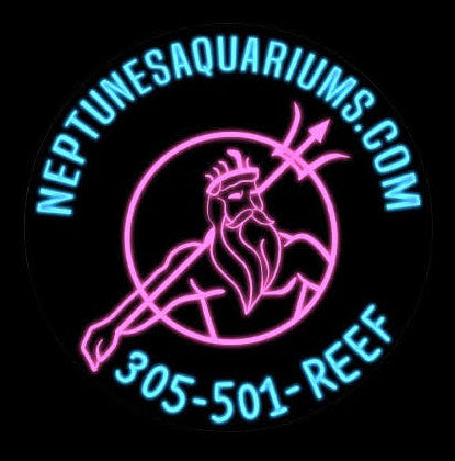 Neptunes Aquarium Logo