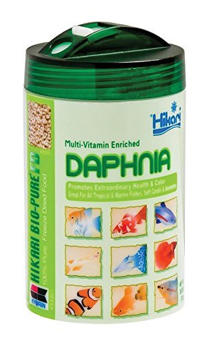 Daphnia Fish Food